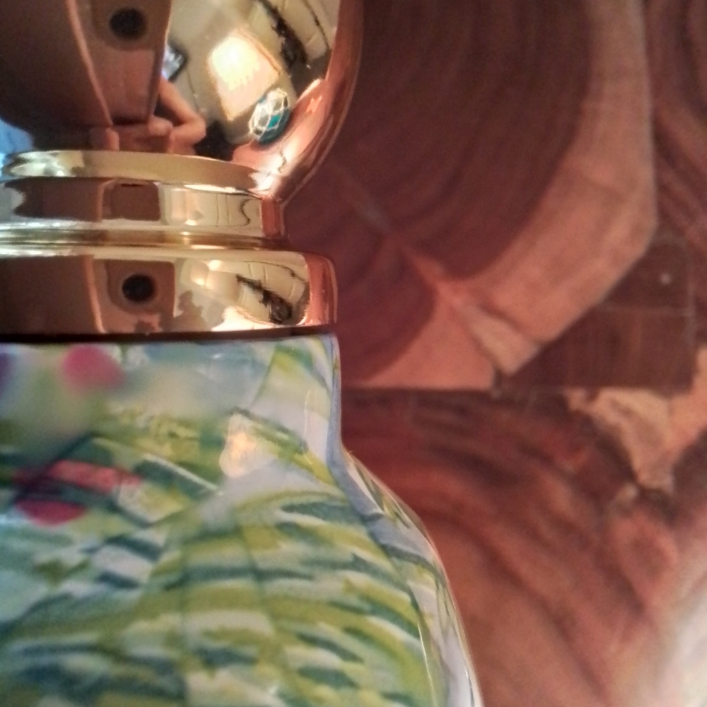 Lilly Pulitzer Squeeze The Day Water Bottle In Floridita Flamingo Print - Picture 9 of 11